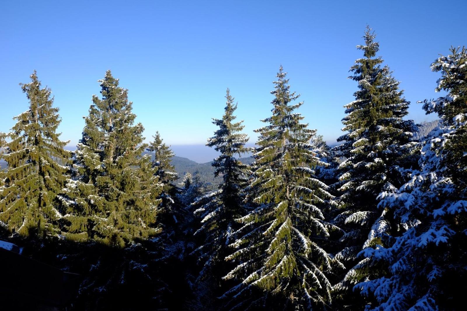 Your Place Borovets Exterior foto
